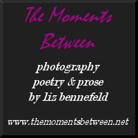 The Moments 
Between