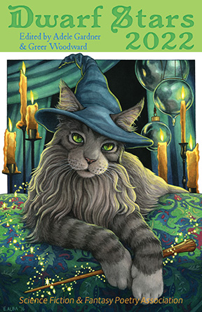 2022 Dwarf Stars cover