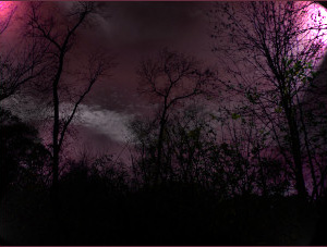 Lost - Liz Bennefeld photo