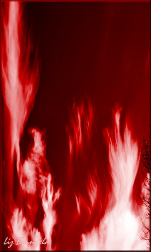 Flame - Liz Bennefeld photo 