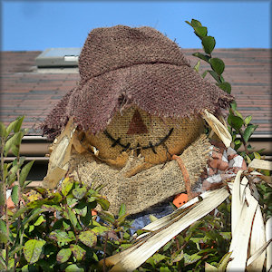 Happy Halloween! - Liz Bennefeld photo