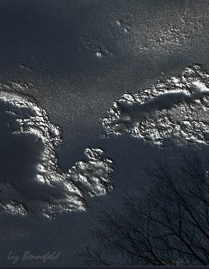 Night Sky - Liz Bennefeld photo