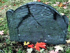 Winged Skull Stone - Julia Rios photo
