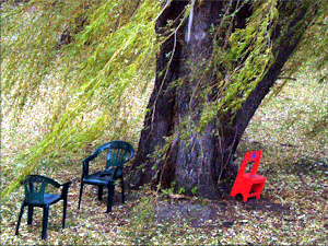 Vanished - Liz Bennefeld photo