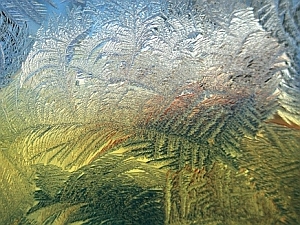 Mazes - Liz Bennefeld photo