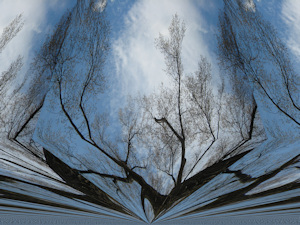 New Dimension - Liz Bennefeld photo