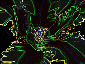 Alien Life -  Liz Bennefeld photo 