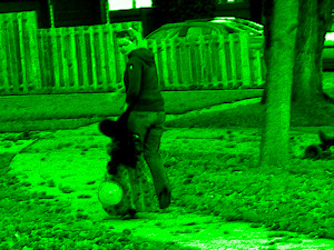 Trick or Treat - Liz Bennefeld photo