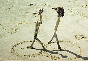 Circles Touching - Katha Bella Wilson photo