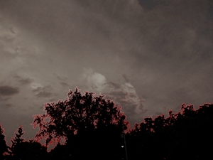 Halloween Sky - Liz  Bennefeld photo
