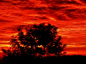 October Sunrise - Valerie Bodell photo