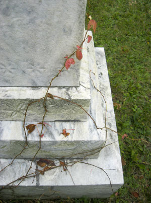 Graveyard Vine - Sara Tantinger photo
