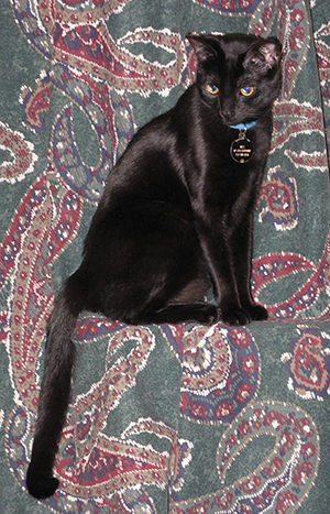 Max, on His Pedestal - Adele Gardner