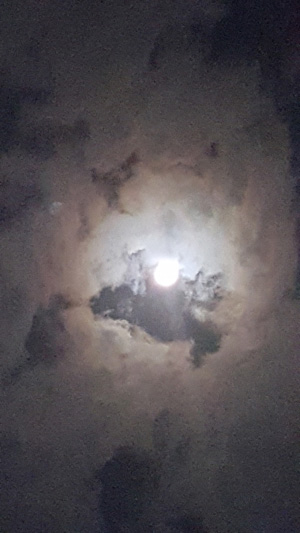 Dragohn Sky - John C. Mannone