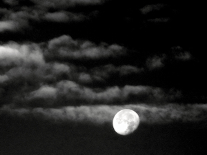 Wrong Side - Lizl Bennefeld