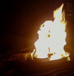 Dead Languages - F. J. Bergmann