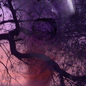 Dead Languages - F. J. Bergmann