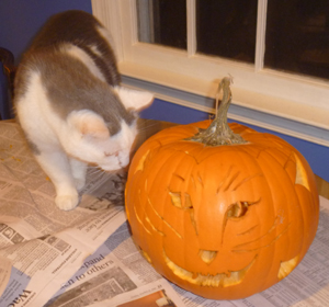 Halloween Party - Adele Gardner