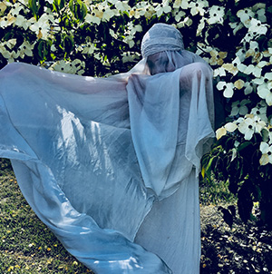 The Blue Shroud - Derek Savoia