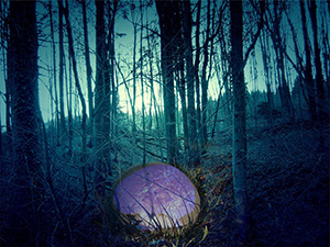 The Prisoner - F. J. Bergmann